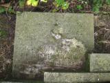 image of grave number 790737